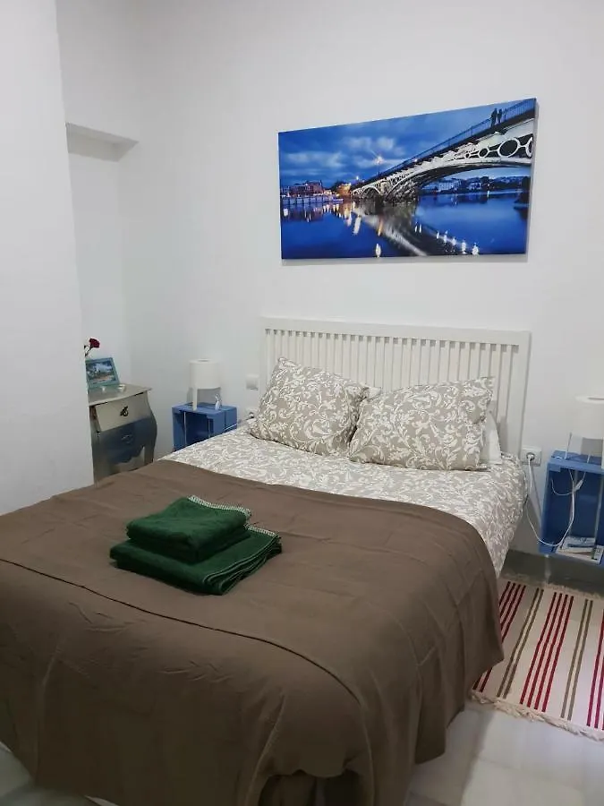 Santas Patronas Street Center Apartment Seville Spain