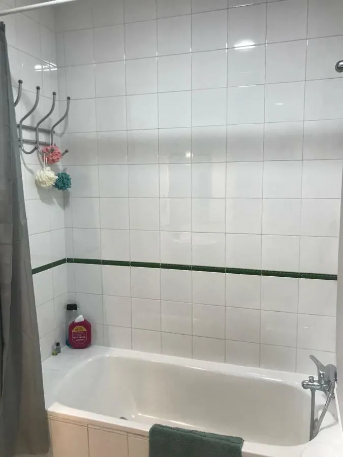 Santas Patronas Street Center Apartment Seville